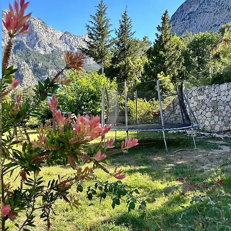 Gokdere Evleri Alpstuga *